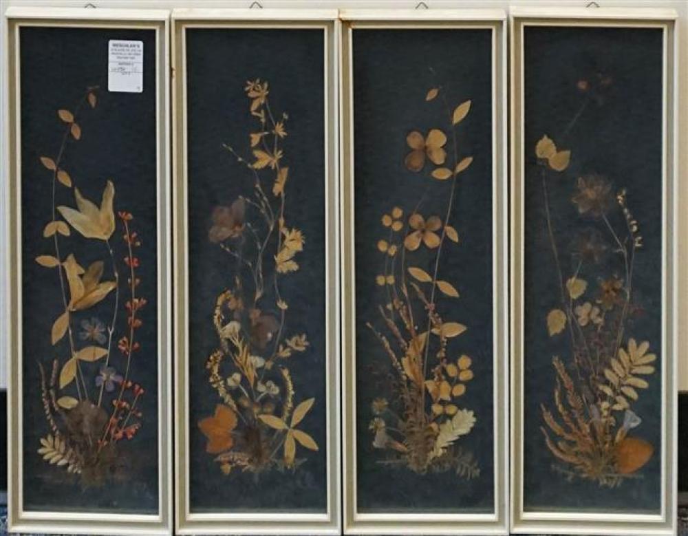 SET OF FOUR PRESSED DRIED