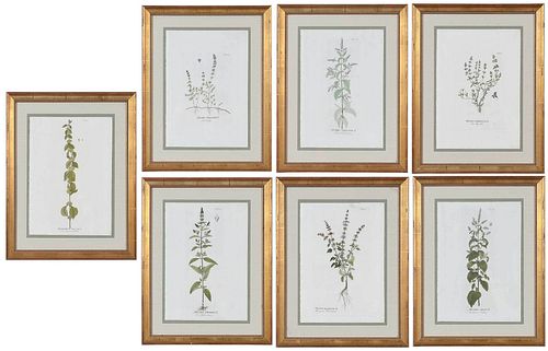 SET OF SEVEN APOTHECARY