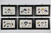 SET OF SIX CHINA TRADE WATERCO