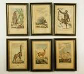 SET OF SIX FRAMED WILDLIFE LIT