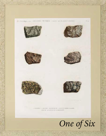 Set of Six Large Colored Engraved