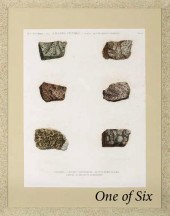 Set of Six Large Colored Engra