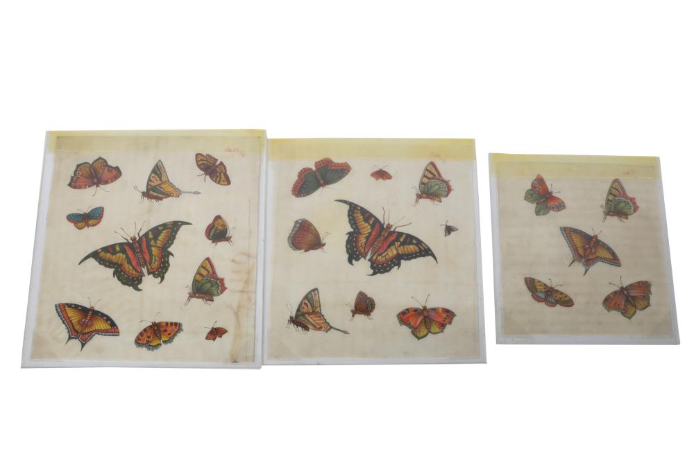 SET OF THREE BUTTERFLY