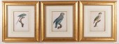 SET OF THREE HISTOIRE NATURELL