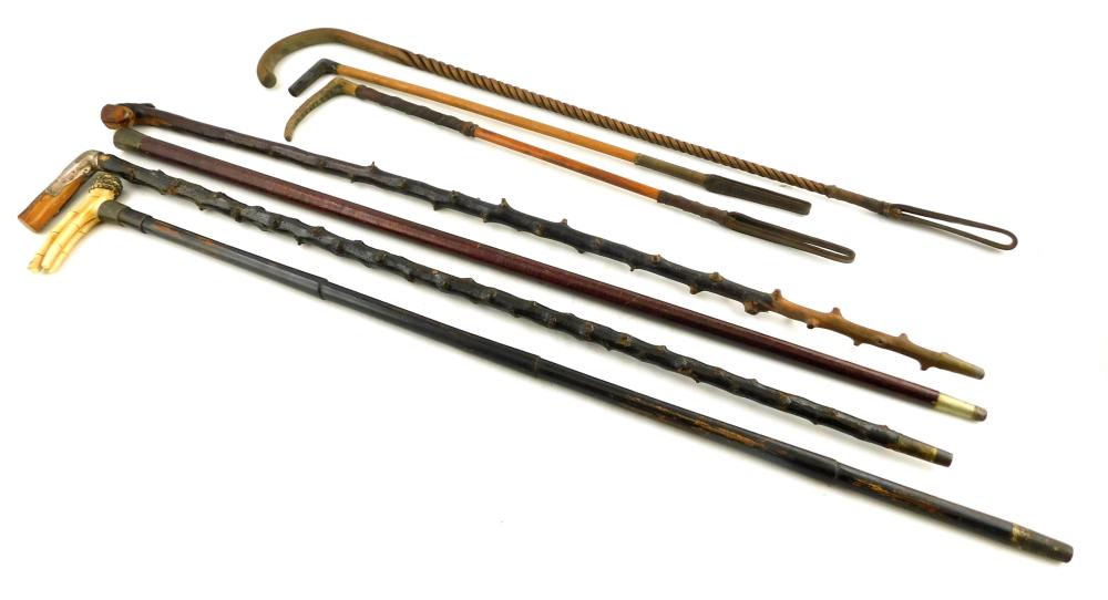 SEVEN 19TH/20TH C. WALKING STICKS