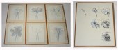 SEVEN ARTWORKS BY ROBERT JANZS