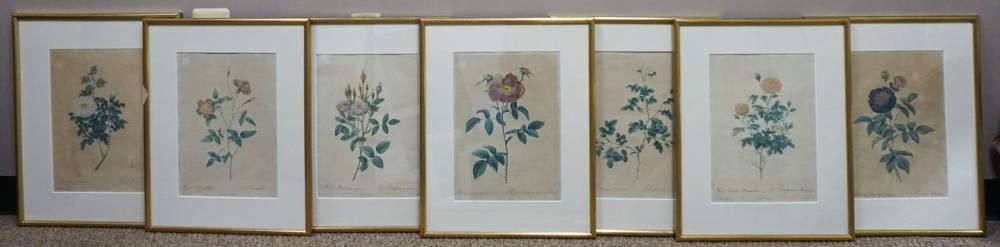 SEVEN BOTANICAL LITHOGRAPHS, FRAME: