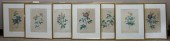 SEVEN BOTANICAL LITHOGRAPHS, F