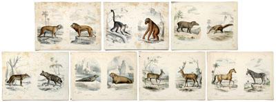 Seven Edouard Travies lithographs