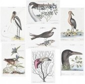 SEVEN ENGRAVINGS AFTER MARK CA