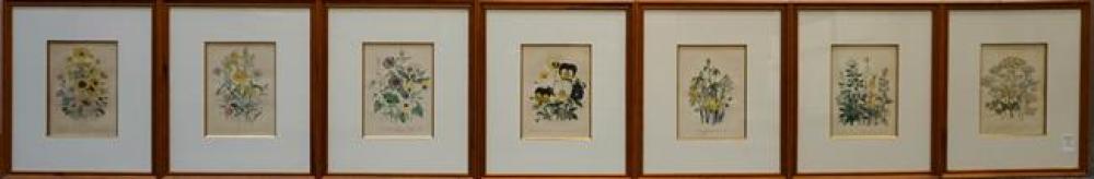 SEVEN FRAMED BOTANICAL COLOR