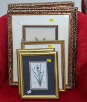 SEVEN FRAMED BOTANICAL PRINTS