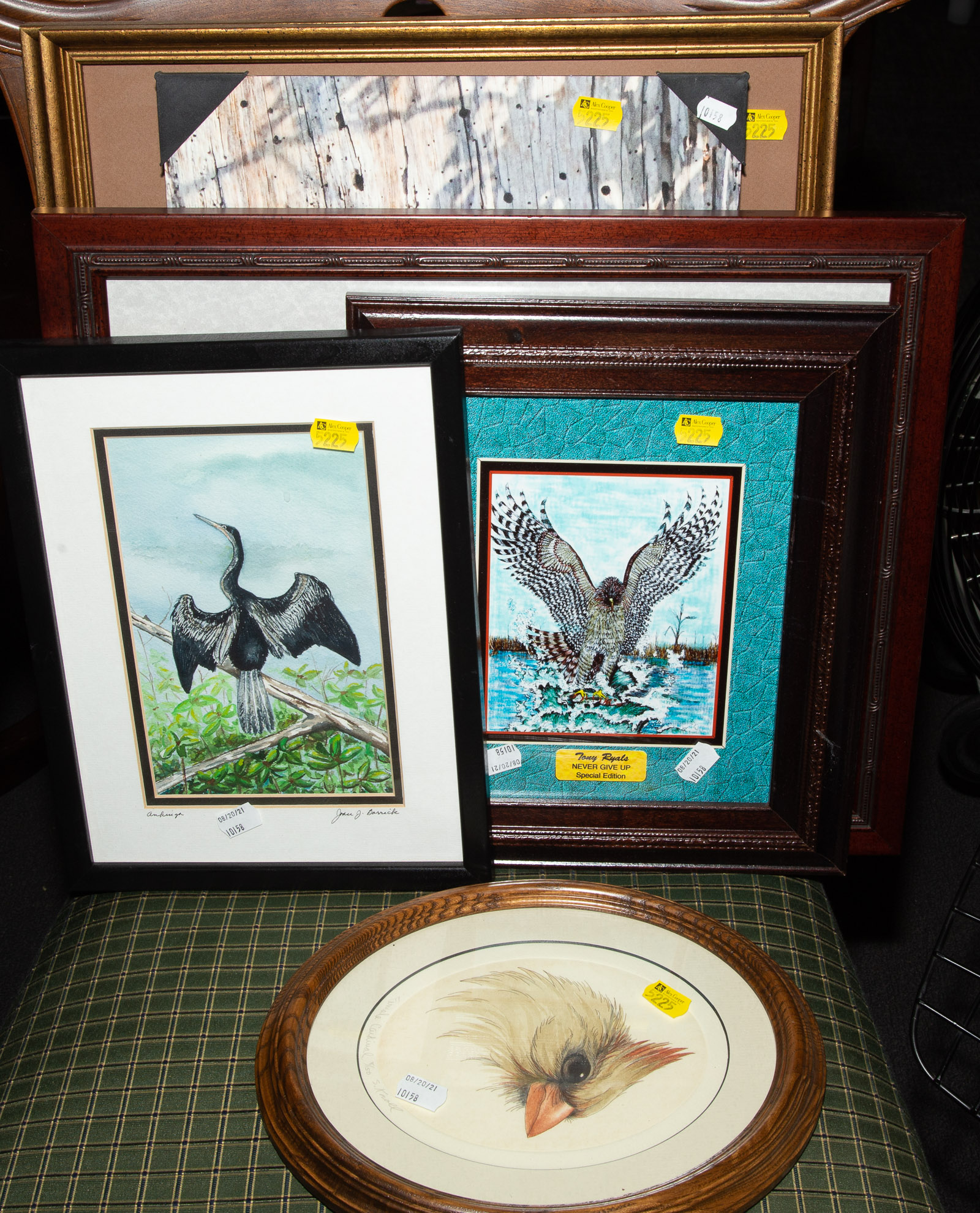 SEVEN FRAMED & ONE UNFRAMED BIRD