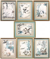 Seven French bird prints: C. S