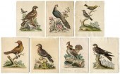 Seven George Edwards prints (1