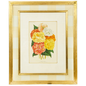 Seven Gilt Framed Botanical