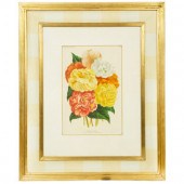 Seven Gilt Framed Botanical Ch