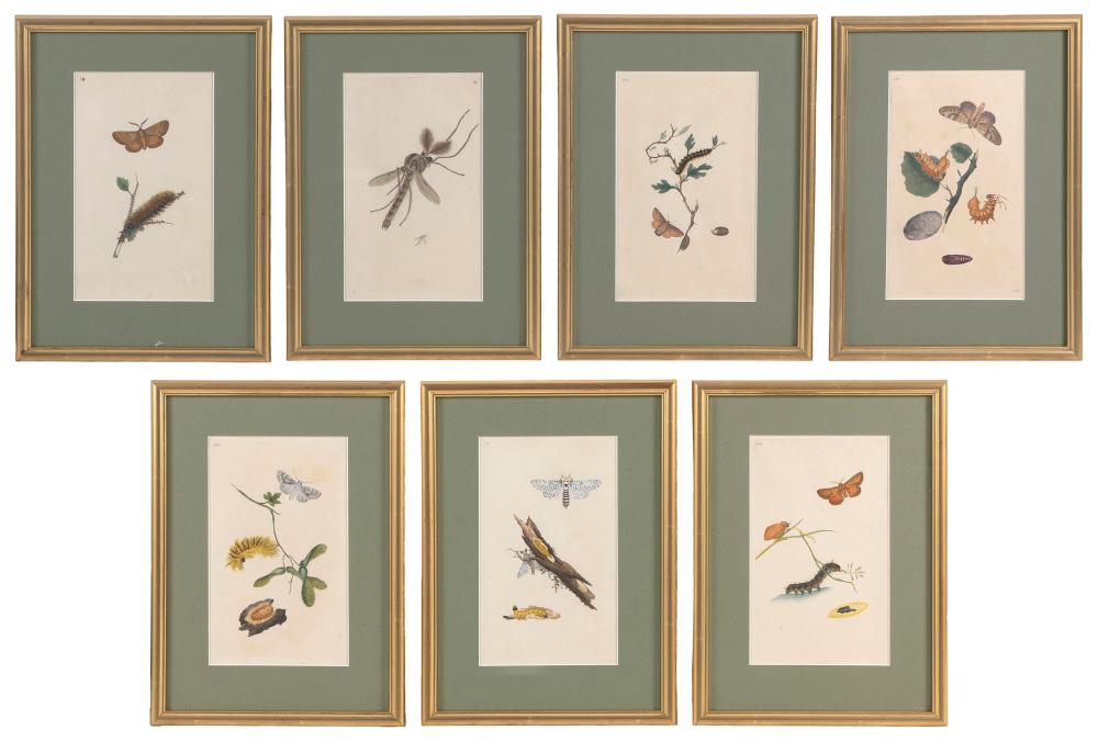 SEVEN HAND-COLORED PRINTS, MOSTLY