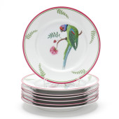 SEVEN LYNN CHASE  PARROTS OF P