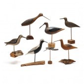 SEVEN PAINTED SHOREBIRDS ON ST
