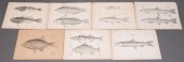 SEVEN U.S.P.R.R., EXPEDITION &