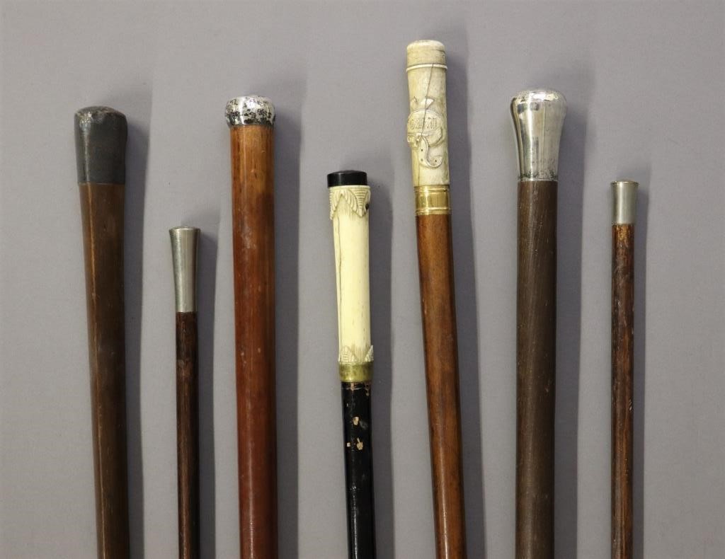 Seven walking sticks and canes,