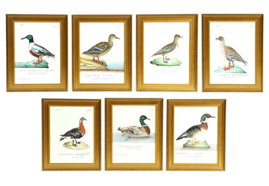 SEVEN WATERCOLORS.  American or
