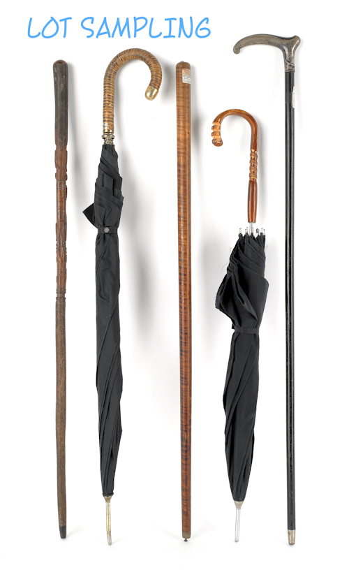 Seventeen assorted canes together