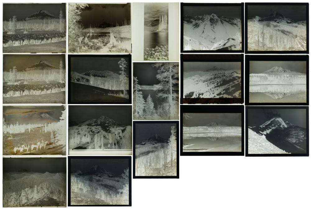 SEVENTEEN PHOTOGRAPHIC NEGATIVES