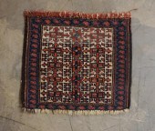 SHAH SEVAN BAGFACE, 1 FT 5 IN
