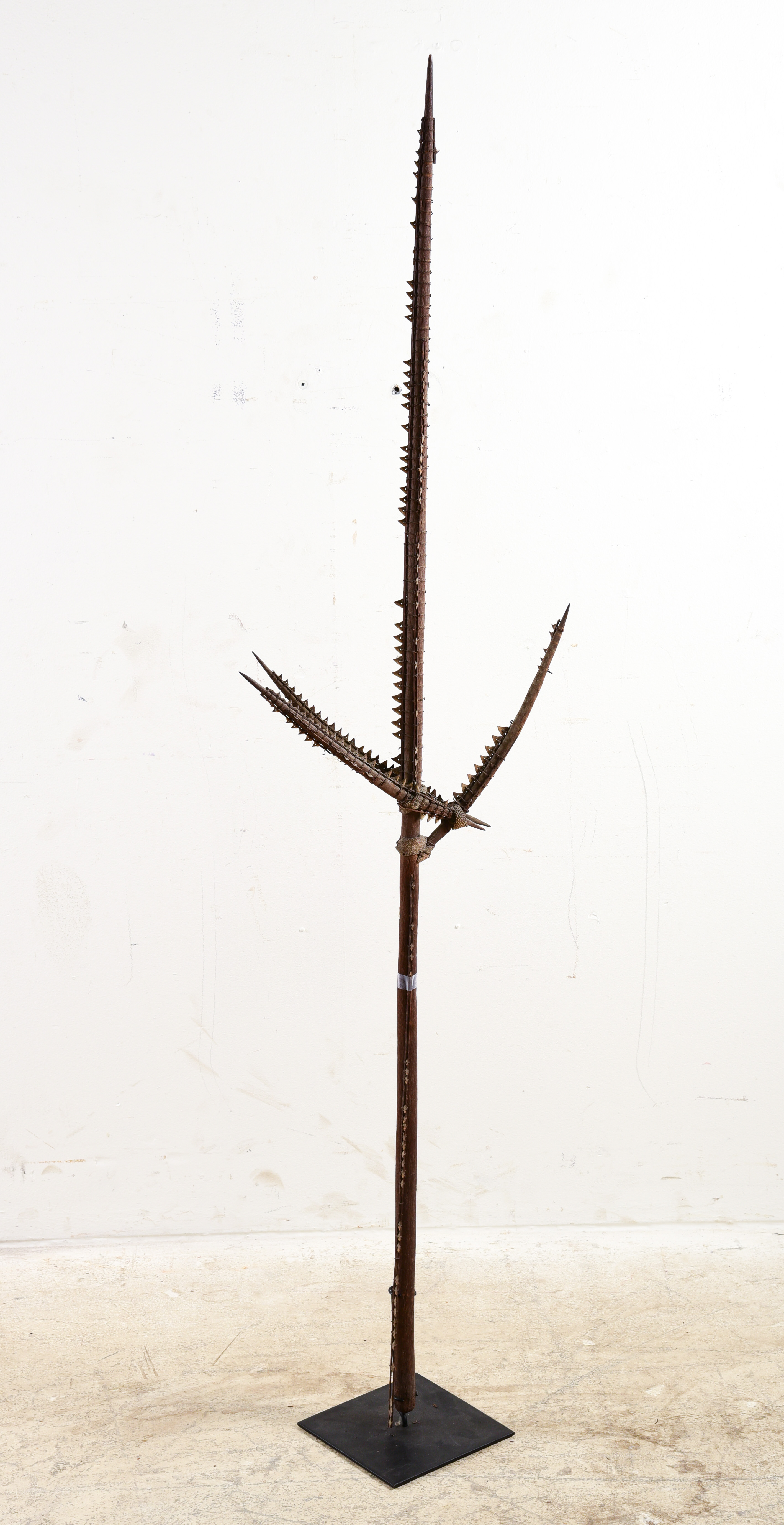 Shark tooth and skin spear with