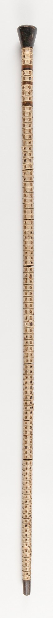 SHARK VERTEBRAE CANE LATE 19TH