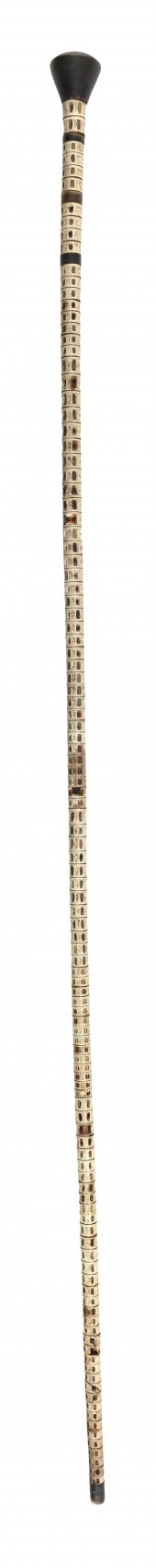 SHARK VERTEBRAE LADY’S CANE 19