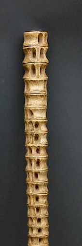 SHARK VERTEBRAE WALKING STICKS