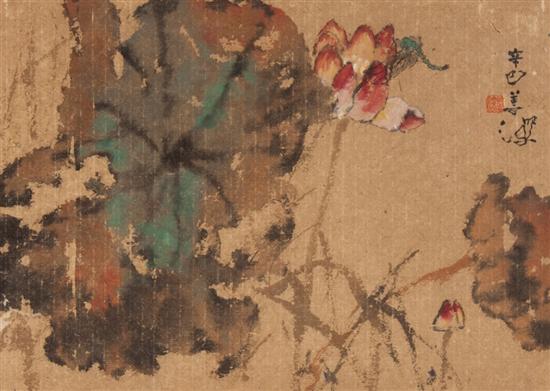 Shaw Bo 'Lotus Flowers'