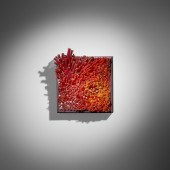 Shayna Leib. Coriolis. 2006, h