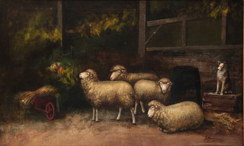 SHEEP BY ALFRED MONTGOMERY.