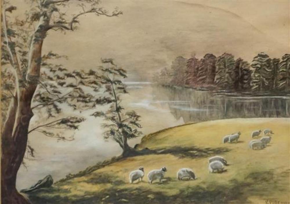 SHEEP GRAZING BESIDE A LAKE,