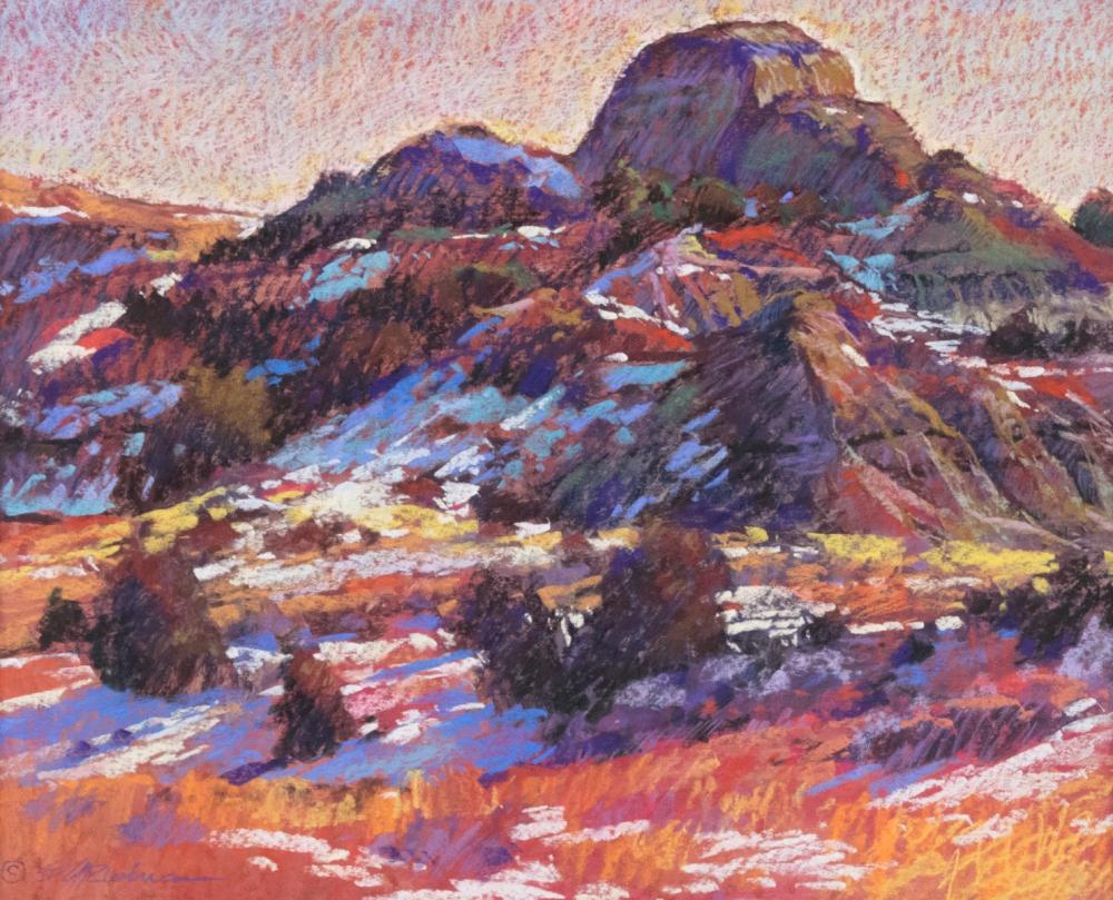 SHEILA RIEMAN (NORTH