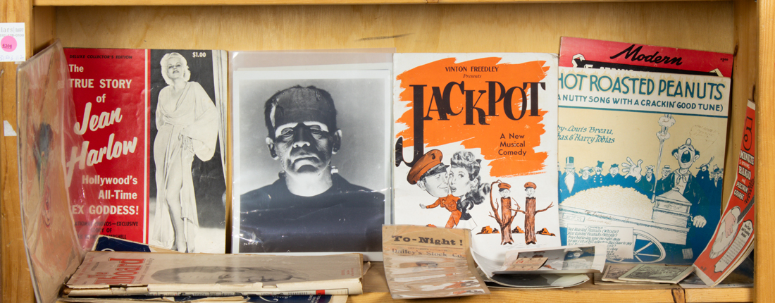 SHELF LOT OF THEATRICAL AND