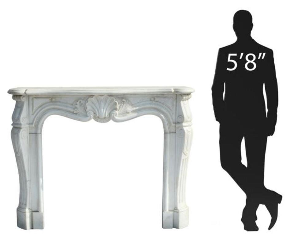 SHELL & FOLIATE CARRARA MARBLE