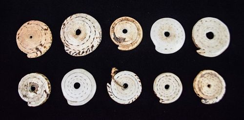 SHELL MONEY / CURRENCYShell money