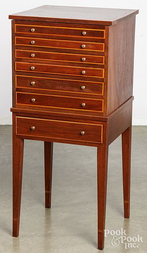 SHELL SPECIMEN CABINETShell