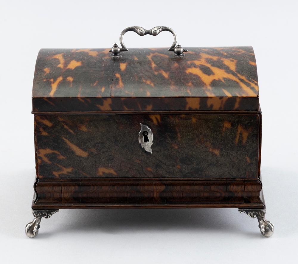 SHELL TEA CADDY 19TH CENTURY HEIGHT