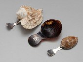 Shell, tortoise caddy spoons: