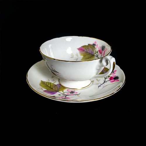 SHELLEY FINE BONE CHINA CUP AND
