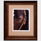 SHELLI BREIDENBACH: ANNI'S EYE