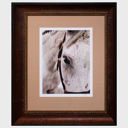 SHELLI BREIDENBACH: MISSY'S