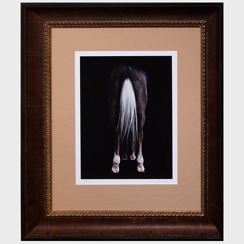 SHELLI BREIDENBACH: VOCASColor