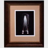 SHELLI BREIDENBACH: VOCASColor